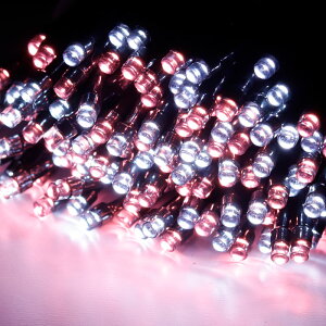 C~l[V O \[[ NX}X  Op C~l[VCg \[[C~l[VCg \[[ C~l[V 120 NX}X J[e  K[f