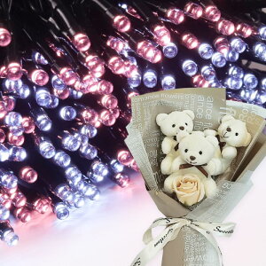 NX}X v[g Mtg \[[C~l[V 300 ԑ xAu[P  q Ƒ FB   c[ X  