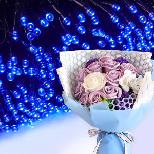 \[vt[ a v[g av[g 蕨 Zbg  ސE Mtg  ԑ u[P o LED Cg FB Fl j  FB t[Mtg ԃMtg 