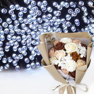 \[vt[ a v[g av[g 蕨 Zbg  ސE Mtg  ԑ u[P o LED Cg FB Fl j  FB t[Mtg ԃMtg 