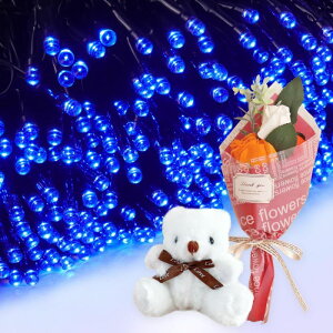 Mtg \[[C~l[V 300 ԑ ~ju[P  ʂ  q Ƒ FB   c[ X  