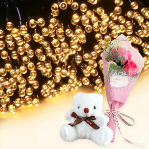 Mtg \[[C~l[V 300 ԑ ~ju[P  ʂ  q Ƒ FB   c[ X  