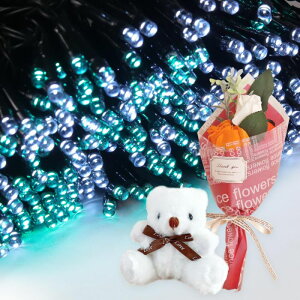 Mtg \[[C~l[V 300 ԑ ~ju[P  ʂ  q Ƒ FB   c[ X  