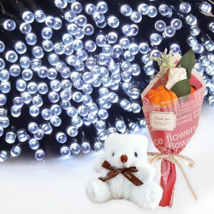 Mtg \[[C~l[V 300 ԑ ~ju[P  ʂ  q Ƒ FB   c[ X  