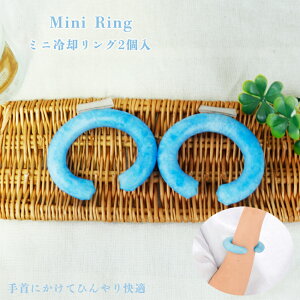 pO  rp ⊴ ~jTCY MǑ΍ ΍  X|[c EH[LO O Od AEghA H X|[cϐ K[fjO ܂Ƃߔ ei qǂ w 