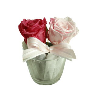 v[g av[g vU[uht[ a Mtg o  FB Fl LO j  \ ߂łƂ oY j ސEv[g j  j a@ C