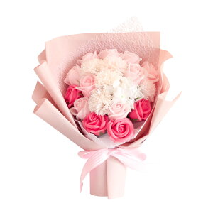 a \[vt[ ԑ  v[g av[g j l \ j Mtg a߂łƂ u[P ͂Ȃ  o Ђ܂ TCY  FB 70 60