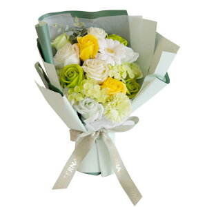 a \[vt[ ԑ  v[g av[g j l \ j Mtg a߂łƂ u[P ͂Ȃ  o Ђ܂ TCY  FB 70 60