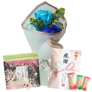 \[vt[@hV̓ ԑ ~ju[P a v[g av[g LO j ސE  Mtg MtgZbg Zbg o     َq   j c