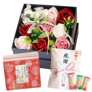 hV̓Mtg \[vt[ hV̓ َq  \ a v[g Mtg \[vt[Mtg {bNX AWg  ԑ  ސE LO LOi    