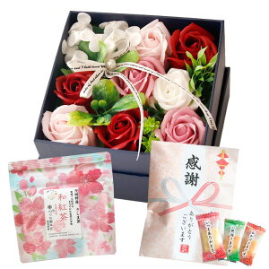 hV̓Mtg \[vt[ hV̓ َq  \ a v[g Mtg \[vt[Mtg {bNX AWg  ԑ  ސE LO LOi    