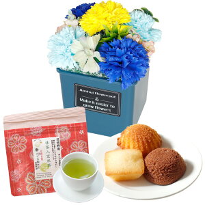 \[vt[ hV̓ \[vt[Mtg  av[g \ a v[g Mtg oYj AWg  ԑ LO o Ђ܂ Cj c FB 