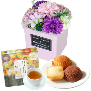 \[vt[ hV̓ \[vt[Mtg  av[g \ a v[g Mtg oYj AWg  ԑ LO o Ђ܂ Cj c FB 