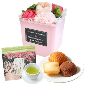 \[vt[ hV̓ \[vt[Mtg  av[g \ a v[g Mtg oYj AWg  ԑ LO o Ђ܂ Cj c FB 