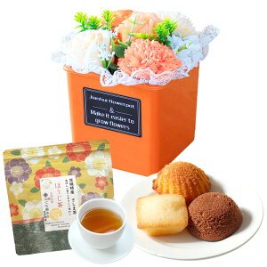 \[vt[ hV̓ \[vt[Mtg  av[g \ a v[g Mtg oYj AWg  ԑ LO o Ђ܂ Cj c FB 