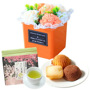 \[vt[ hV̓ \[vt[Mtg  av[g \ a v[g Mtg oYj AWg  ԑ LO o Ђ܂ Cj c FB 