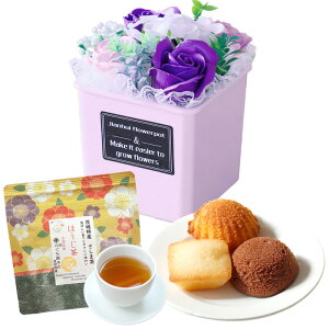 \[vt[ hV̓ \[vt[Mtg  av[g \ a v[g Mtg oYj AWg  ԑ LO o Ђ܂ Cj c FB 