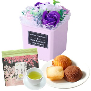 \[vt[ hV̓ \[vt[Mtg  av[g \ a v[g Mtg oYj AWg  ԑ LO o Ђ܂ Cj c FB 