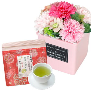 \[vt[ hV̓ \[vt[Mtg  av[g \ a v[g Mtg oYj AWg  ԑ LO o Cj c FB  aj