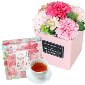 \[vt[ hV̓ \[vt[Mtg  av[g \ a v[g Mtg oYj AWg  ԑ LO o Cj c FB  aj