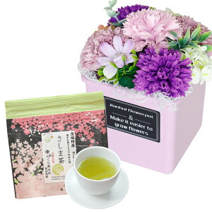 \[vt[ hV̓ \[vt[Mtg  av[g \ a v[g Mtg oYj AWg  ԑ LO o Cj c FB  aj