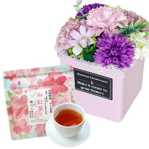 \[vt[ hV̓ \[vt[Mtg  av[g \ a v[g Mtg oYj AWg  ԑ LO o Cj c FB  aj