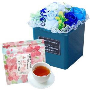 \[vt[ hV̓ \[vt[Mtg  av[g \ a v[g Mtg oYj AWg  ԑ LO o Cj c FB  aj