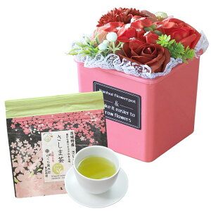 \[vt[ hV̓ \[vt[Mtg  av[g \ a v[g Mtg oYj AWg  ԑ LO o Cj c FB  aj