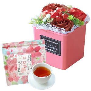 \[vt[ hV̓ \[vt[Mtg  av[g \ a v[g Mtg oYj AWg  ԑ LO o Cj c FB  aj