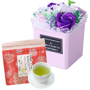 \[vt[ hV̓ \[vt[Mtg  av[g \ a v[g Mtg oYj AWg  ԑ LO o Cj c FB  aj