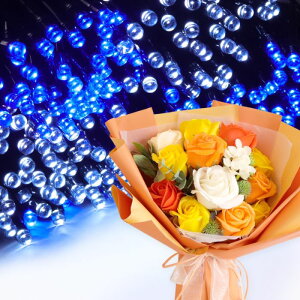 \[vt[ a v[g av[g 蕨 Zbg  ސE Mtg  ԑ u[P o LED Cg FB Fl j  FB t[Mtg ԃMtg 