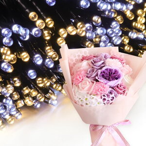 \[vt[ a v[g av[g 蕨 Zbg  ސE Mtg  ԑ u[P o LED Cg FB Fl j  FB t[Mtg ԃMtg 