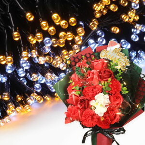 \[vt[ a v[g av[g 蕨 Zbg  ސE Mtg  ԑ u[P o LED Cg FB Fl j  FB t[Mtg ԃMtg 