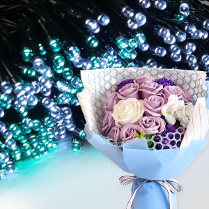 \[vt[ a v[g av[g 蕨 Zbg  ސE Mtg  ԑ u[P o LED Cg FB Fl j  FB t[Mtg ԃMtg 
