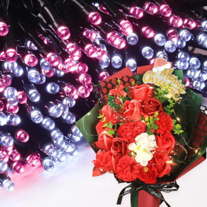 \[vt[ a v[g av[g 蕨 Zbg  ސE Mtg  ԑ u[P o LED Cg FB Fl j  FB t[Mtg ԃMtg 