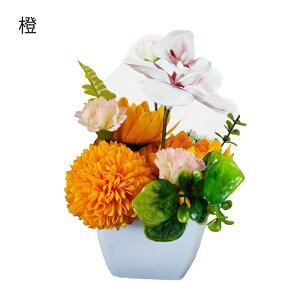 hV̓ ~ d   ފ ~ V~  \[vt[ a    AWg ~ ybg SȂ  蕨 Ӓ  e O coL J[l[