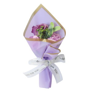 \[vt[ av[g \ a v[g Mtg oYj \[vt[Mtg AWg  ԑ LO o Cj  c FB  aj FB Fl 