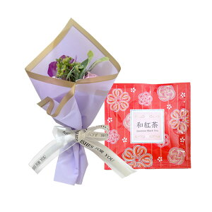 \[vt[@hV̓ av[g \ a v[g Mtg oYj \[vt[Mtg AWg  ԑ LO o Cj  c FB  aj 