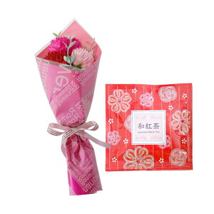 \[vt[ hV̓ \[vt[Mtg  v[g av[g ԑ a Mtg Ђ܂ o J[l[V ~ju[P g hbv   j  j