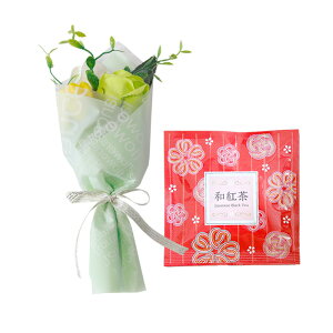 \[vt[ hV̓ \[vt[Mtg  v[g av[g ԑ a Mtg Ђ܂ o J[l[V ~ju[P g hbv   j  j