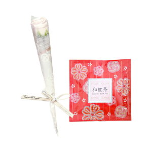 av[g@hV̓ \[vt[ \ a v[g Mtg oYj \[vt[Mtg AWg  ԑ LO o Cj  c FB  aj 