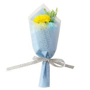 v`Mtg \[vt[ hV̓ hV LOi ސE@ \[vt[Mtg Mtg ԑ  ~ju[P \ ٓ av[g ~jԑ ސEj ̓ 500~ 500~܂ 