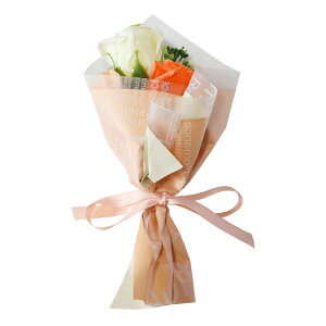 v`Mtg \[vt[ hV̓ hV LOi ސE@ \[vt[Mtg Mtg ԑ  ~ju[P \ ٓ av[g ~jԑ ސEj ̓ 500~ 500~܂ 