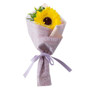 v`Mtg \[vt[ hV̓ hV LOi ސE@ \[vt[Mtg Mtg ԑ  ~ju[P \ ٓ av[g ~jԑ ސEj ̓ 500~ 500~܂ 