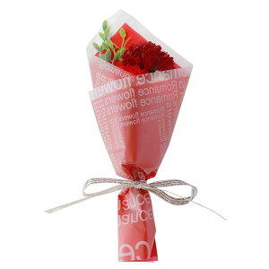 v`Mtg \[vt[ hV̓ hV LOi ސE@ \[vt[Mtg Mtg ԑ  ~ju[P \ ٓ av[g ~jԑ ސEj ̓ 500~ 500~܂ 