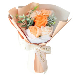 a \[vt[ ԑ  v[g av[g j l \ j Mtg a߂łƂ u[P ͂Ȃ  o Ђ܂ TCY  FB 70 60