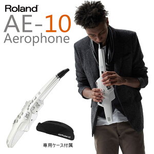 Roland ローランド / Aerophone AE-10 エアロフォン《お取り寄せ商品》【池袋店】