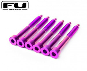 FU-TONE / Titanium String Lock Screw Set 6�Z�b�g PURPLE�y�t���C�h���[�Y�E�A�b�v�O���[�h�E�p�[�c�z�y�����񂹏��i�z�y�a�J�X�z