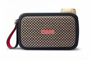 Positive Grid / Spark GO |WeBuObh Xp[N yViۏ؊2Nz