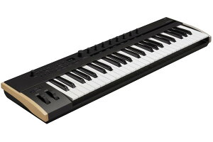 KORG �R���O / Keystage49 49���� �|���E�A�t�^�[�^�b�`�E�R���g���[���[�y�a�J�X�z